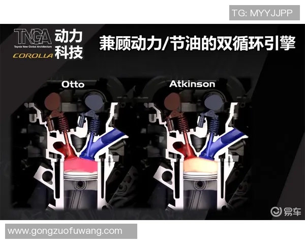 非凡娱乐动态物理模拟带你体验真实世界的奇妙与乐趣